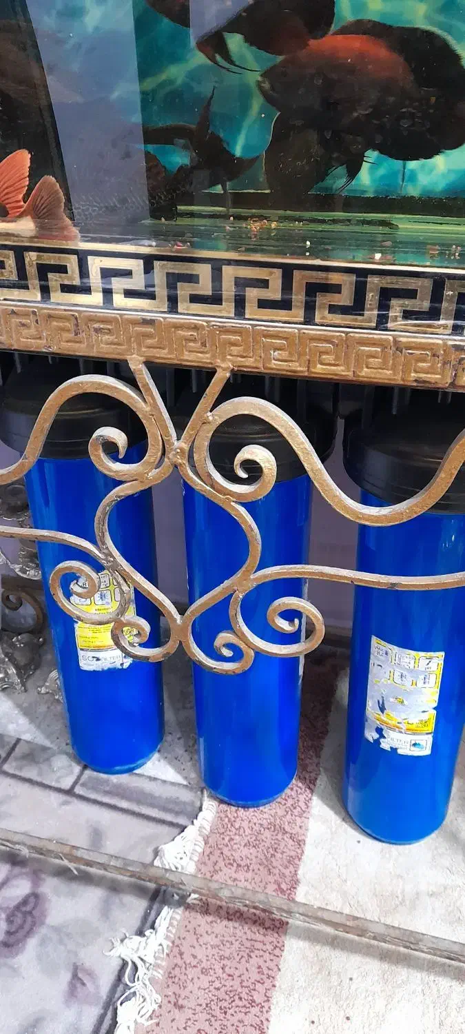 اکواریوم و ماهی|ماهی|تهران, مسعودیه|دیوار