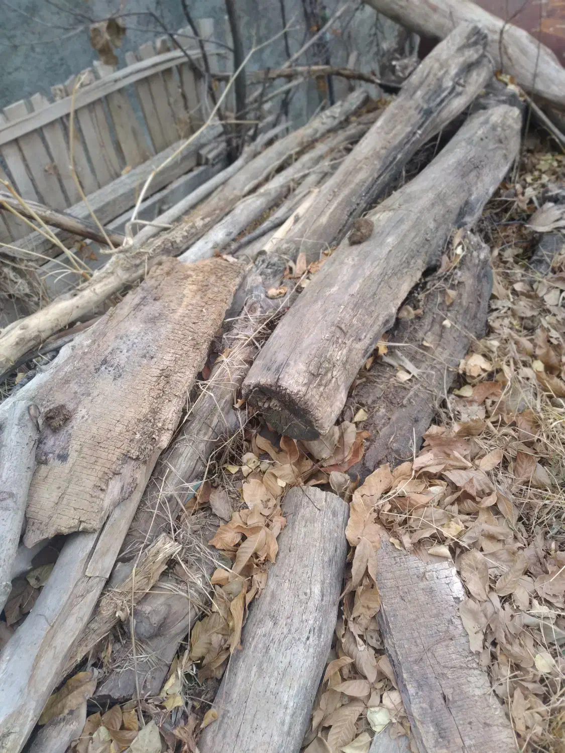 چوب برای زغال یا نئوپان|عمدهفروشی|خلخال, |دیوار