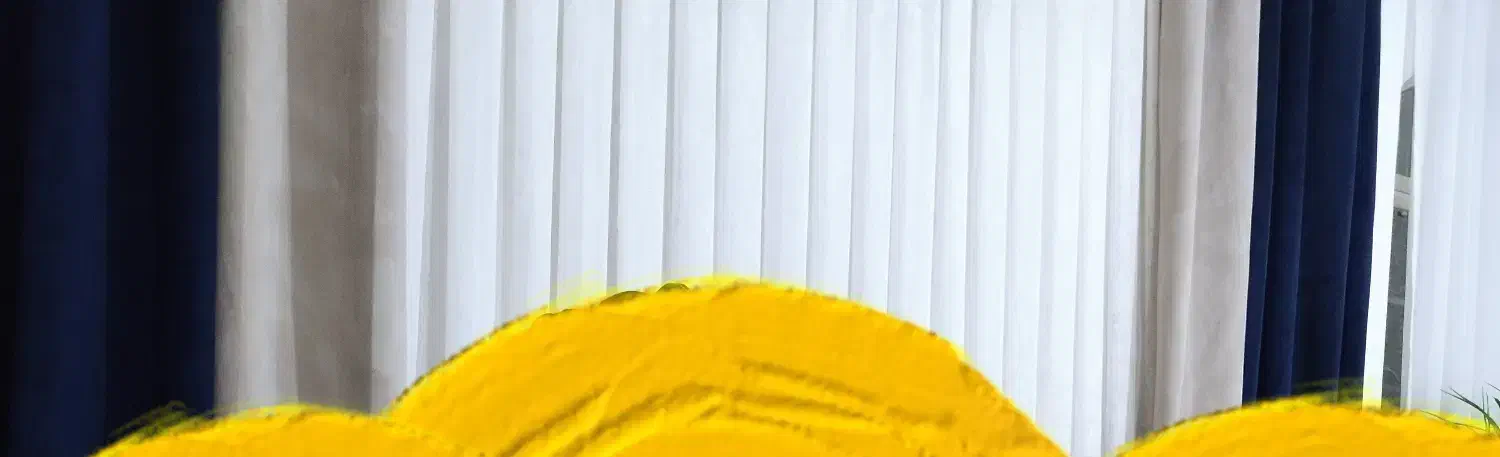 پرده سالن پذیرایی|پرده، رانر، رومیزی|شیروان (خراسان), |دیوار