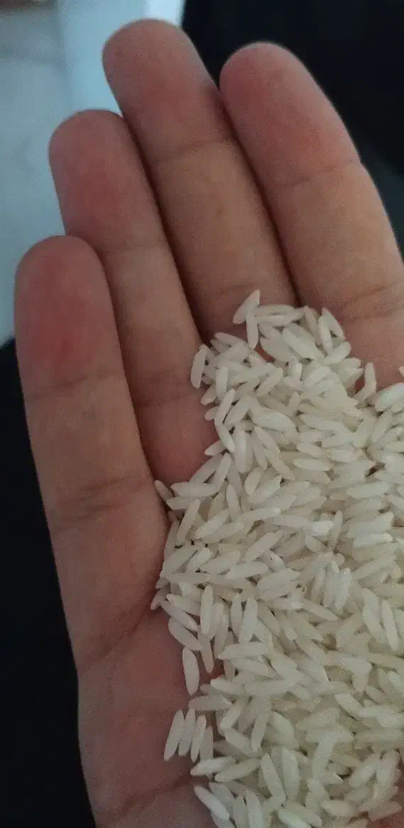 برنج هاشمی اعلا|خوردنی و آشامیدنی|رشت, رشتیان|دیوار