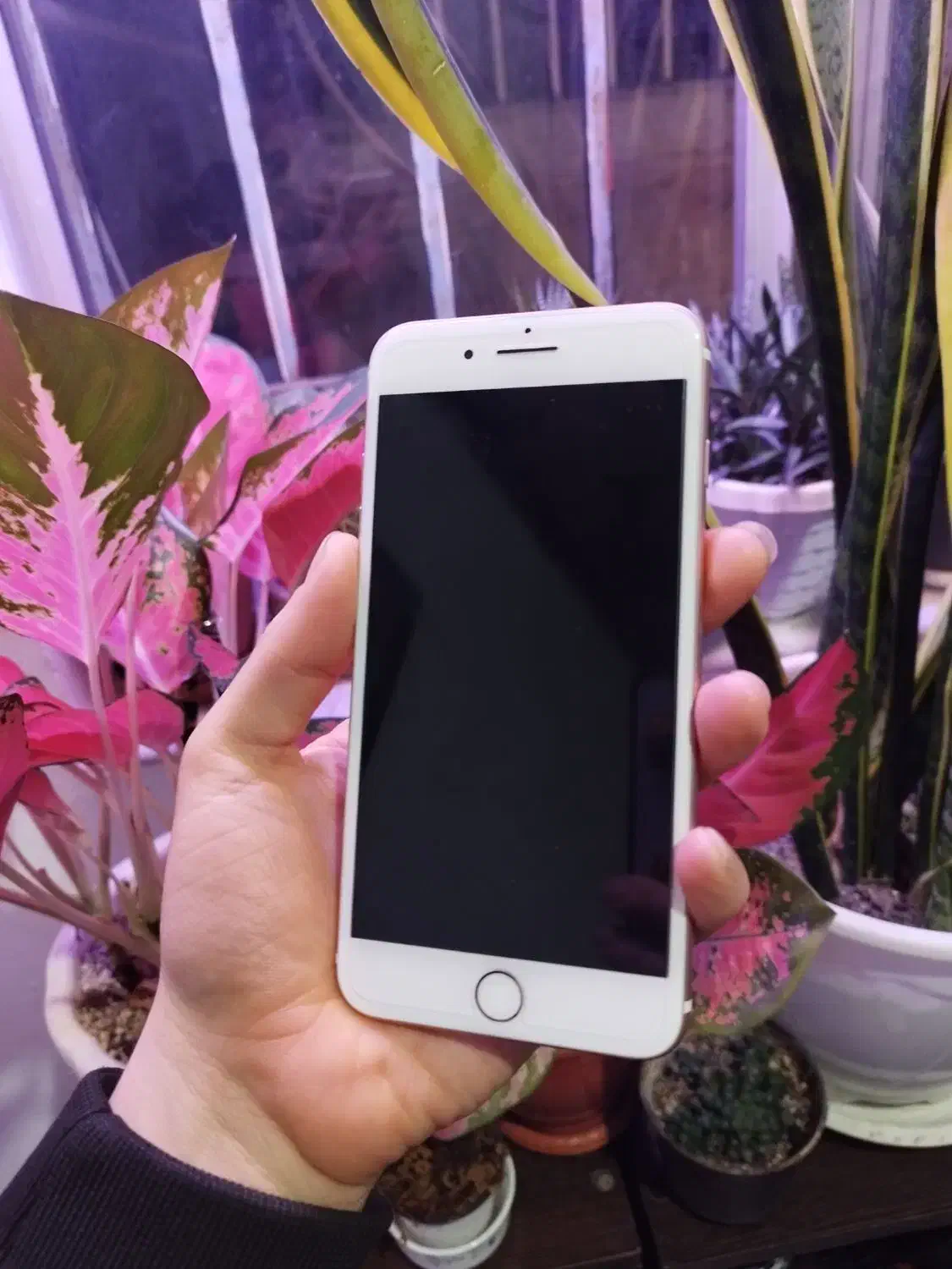 گوشی|موبایل|لنگرود, |دیوار