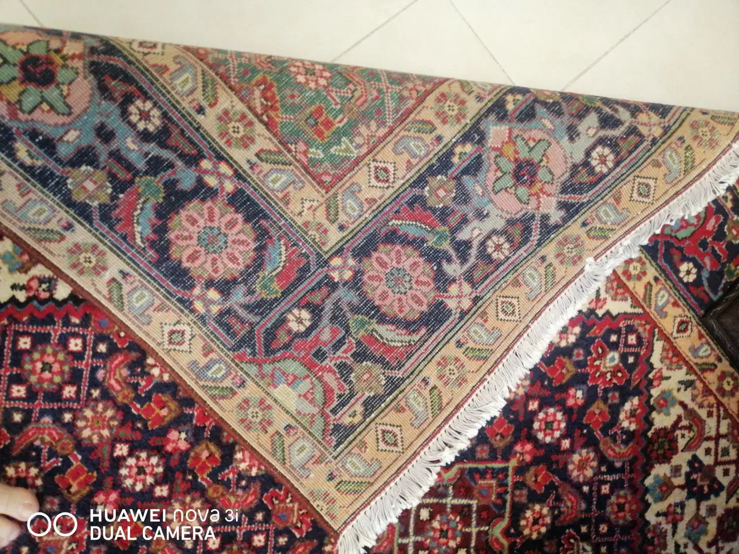 فروش دوتا فرش 6متری دست بافت|فرش|سهند, |دیوار