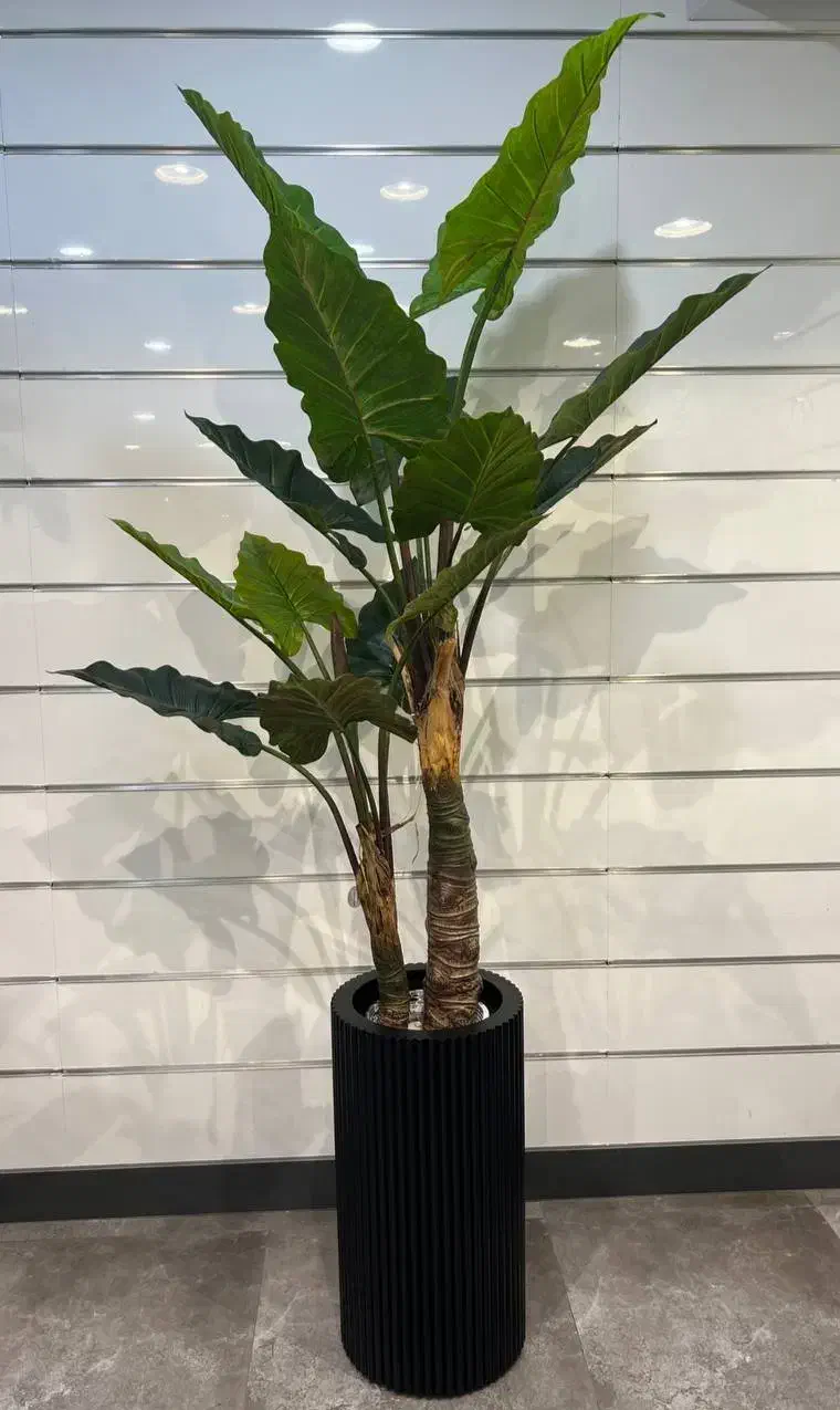 درختچه بزرگ کنار سالنی|گل مصنوعی|خرمآباد, |دیوار