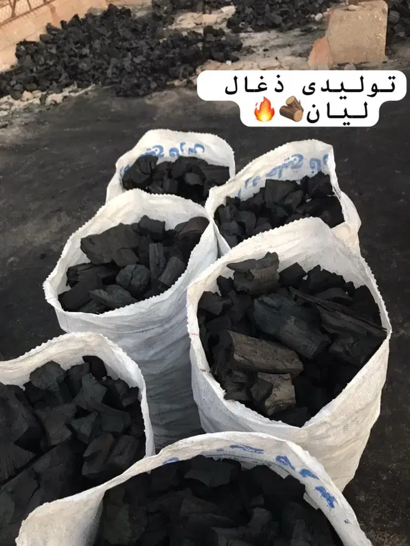 ذغال|کوهنوردی و کمپینگ|بوشهر, |دیوار