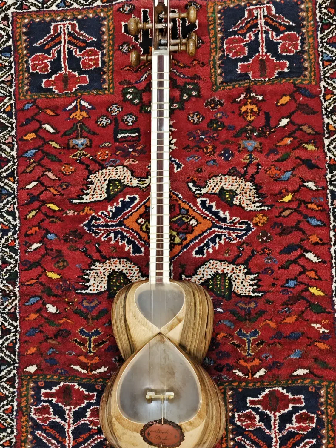 تار موسیقی|سازهای سنتی|جهرم, |دیوار