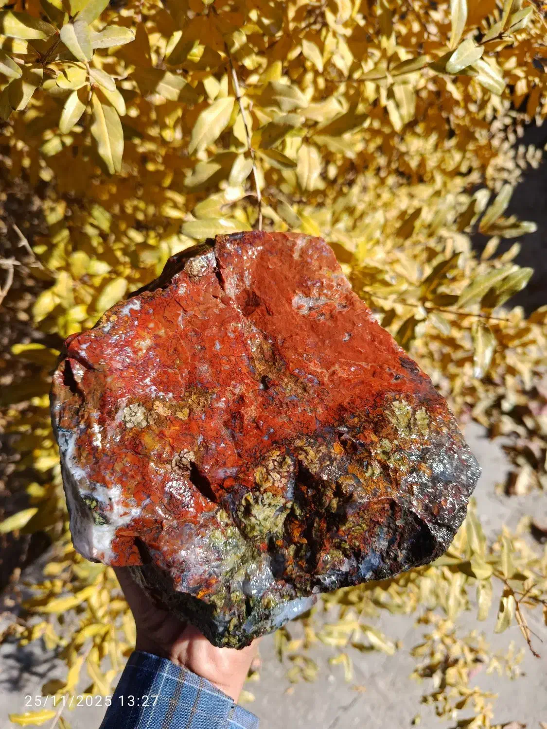 شجر گل اناری|صنایع دستی و سایر لوازم تزئینی|سرایان, |دیوار