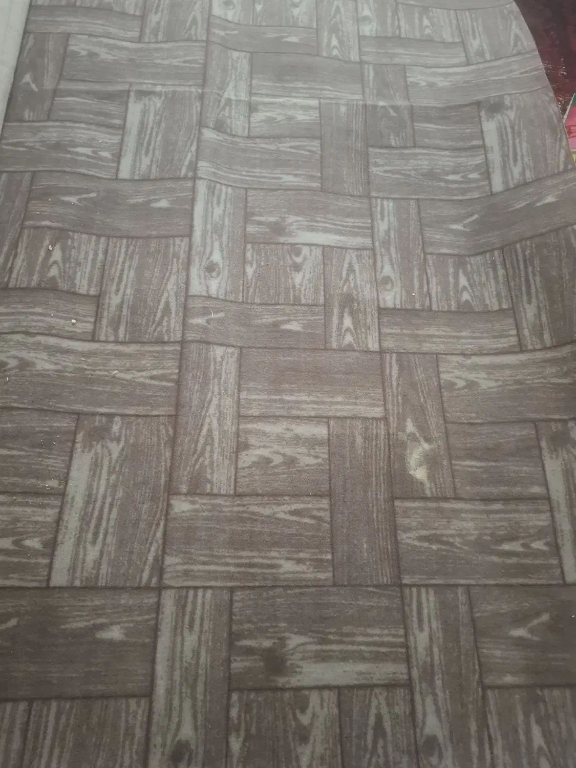 موکت|موکت|گرگان, |دیوار