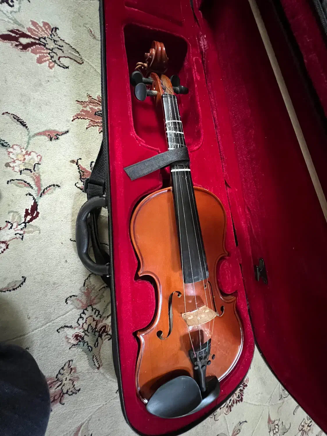 ویالون. سایز ۴|ویولن|قوچان, |دیوار