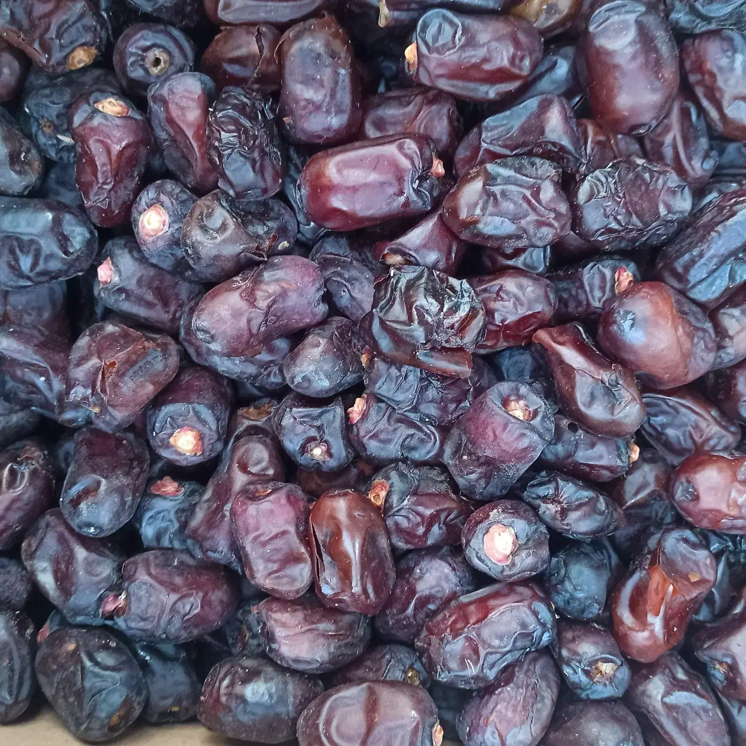 کده خرما|خوردنی و آشامیدنی|بم, |دیوار