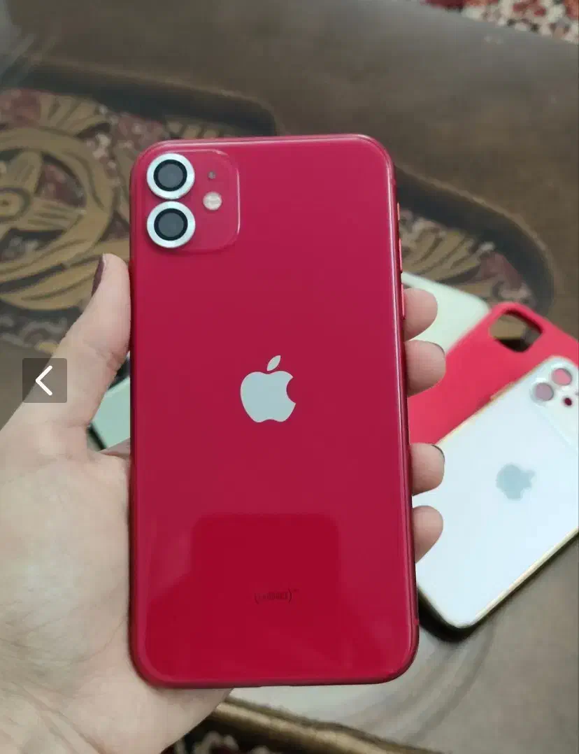 آیفون ۱۱ نرمال|موبایل|مشهد, شاهد (شهرک غرب)|دیوار