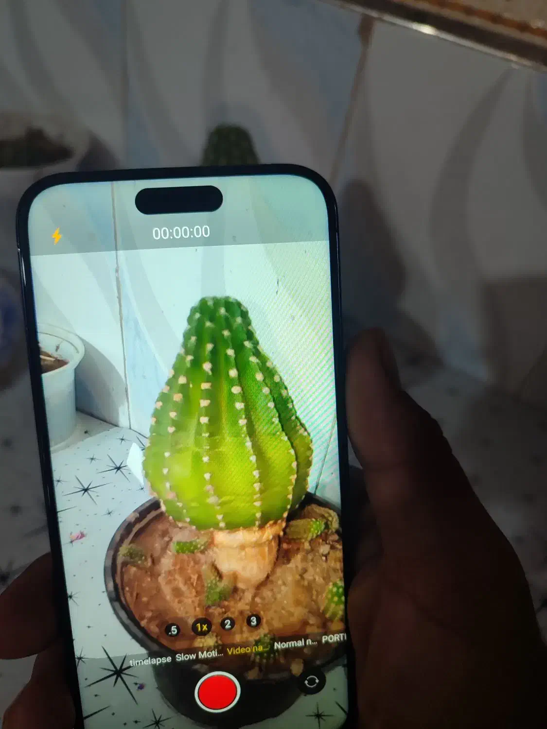 آیفن ۱۵پرو مکس) جغتای|موبایل|جغتای, |دیوار