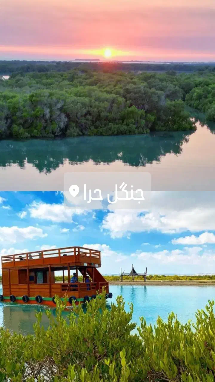 گشت جزیره قشم دربستی 1/500|تور و چارتر|قشم, |دیوار