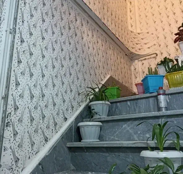 طرح کاغذ دیواری بوسیله غلطک های طرحدار|خدمات پیشه و مهارت|چابهار, |دیوار