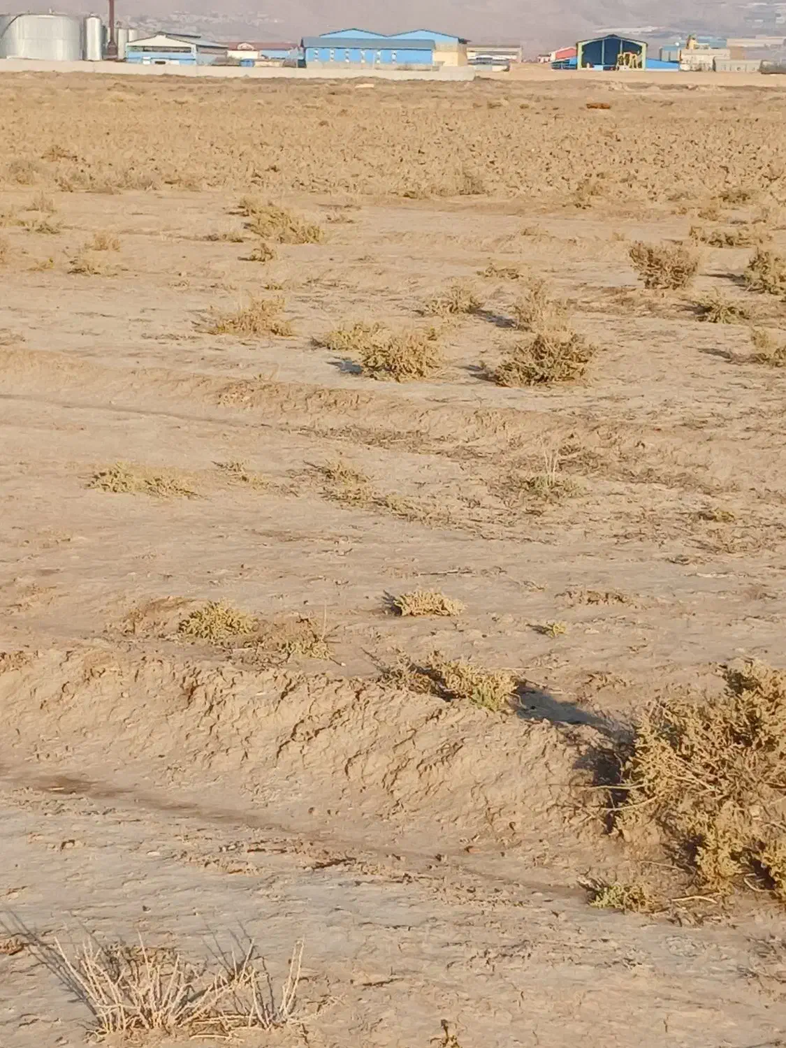 زمین در قوم تپه صوفیان|فروش زمین و ملک کلنگی|صوفیان, |دیوار