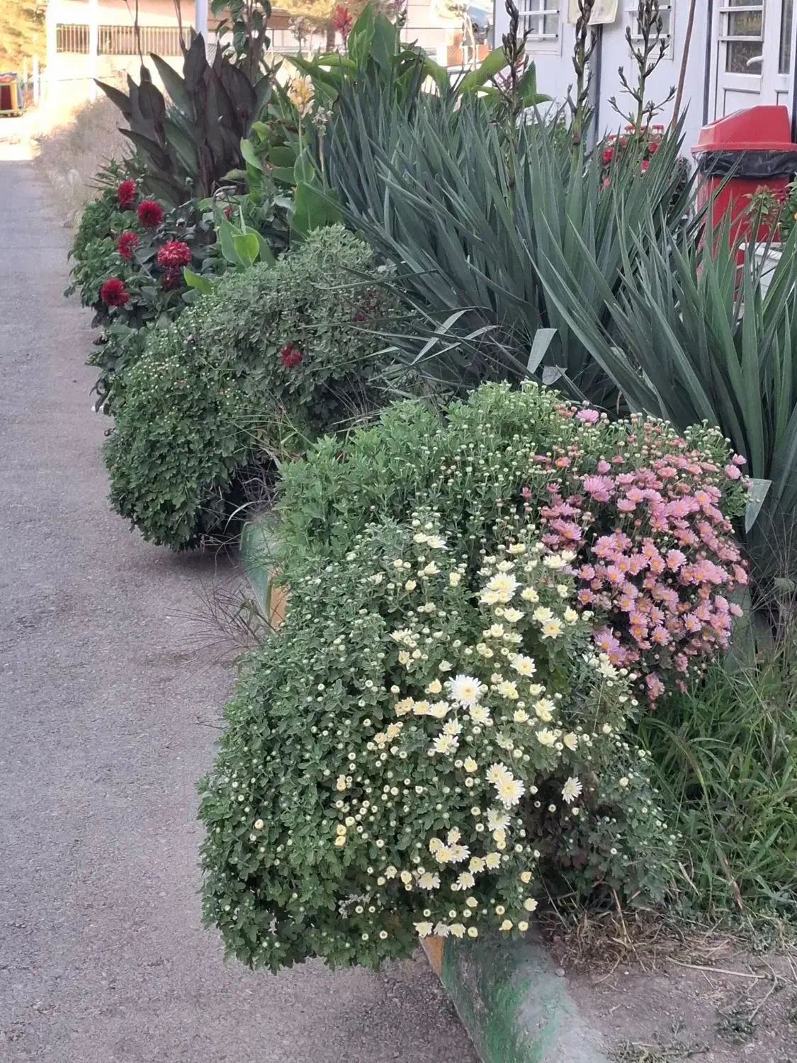 خرید برگ پاییزی انواع درختان|خدمات باغبانی و درختکاری|ملک‌آباد, |دیوار