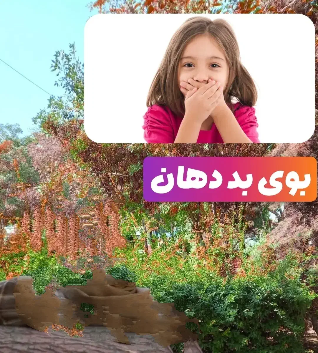 تول گیری پیشوا|خدمات آرایشگری و زیبایی|پیشوا, |دیوار