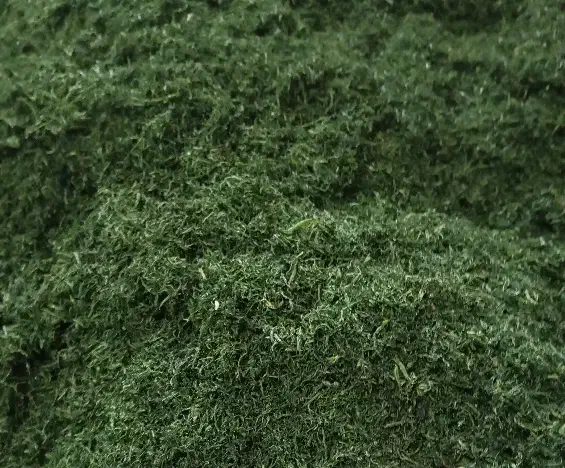 انواع سبزی خشک و تر موجود میباشد|خوردنی و آشامیدنی|حمیدیه, |دیوار