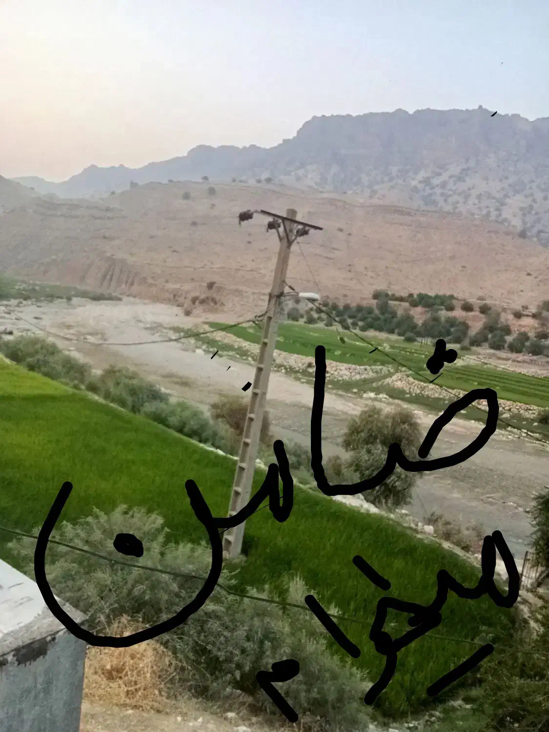 ض. ا. م. ن|فعالیت داوطلبانه|دهدشت, |دیوار