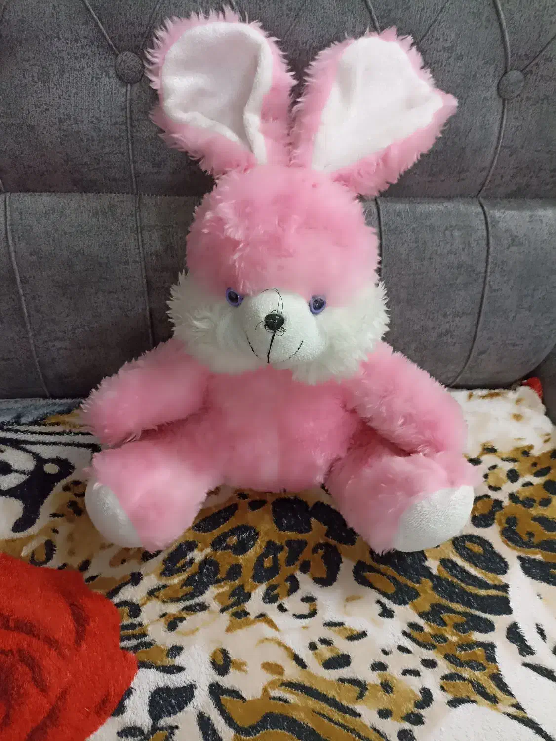 عروسک خرگوش نو|اسباب‌بازی بچه|قرچک, شهرک الحدید|دیوار