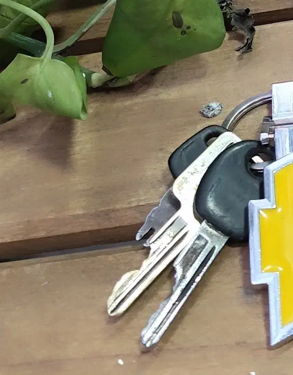 سوییچ و کلید گمشده .محدوده افسریه .|اشیا|تهران, قصر فیروزه ۲|دیوار