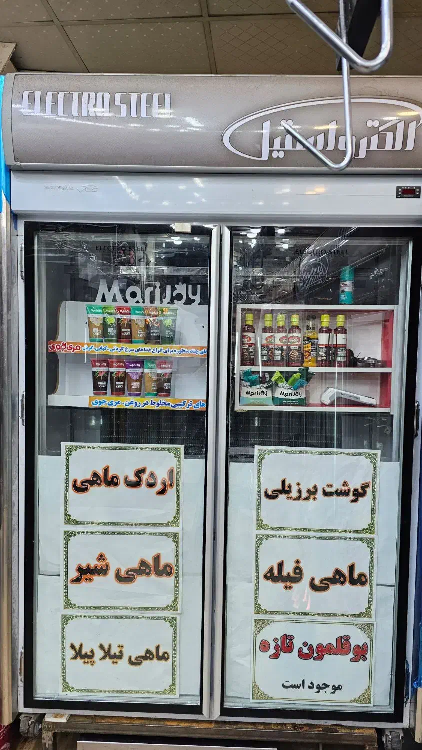 یخچال دو درب الکترواستیل ایستاده سالم بدون ایراد|فروشگاه و مغازه|نیشابور, هفده شهریور|دیوار