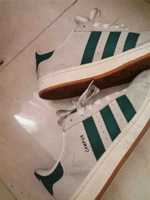 کتونی|کیف، کفش، کمربند|تهران, مسعودیه|دیوار