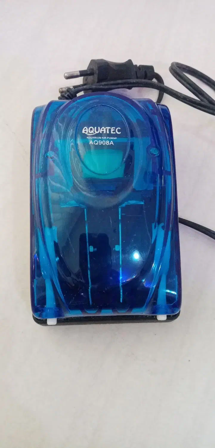 اکواریوم شیشه خم درحد نو|ماهی|بابل, |دیوار