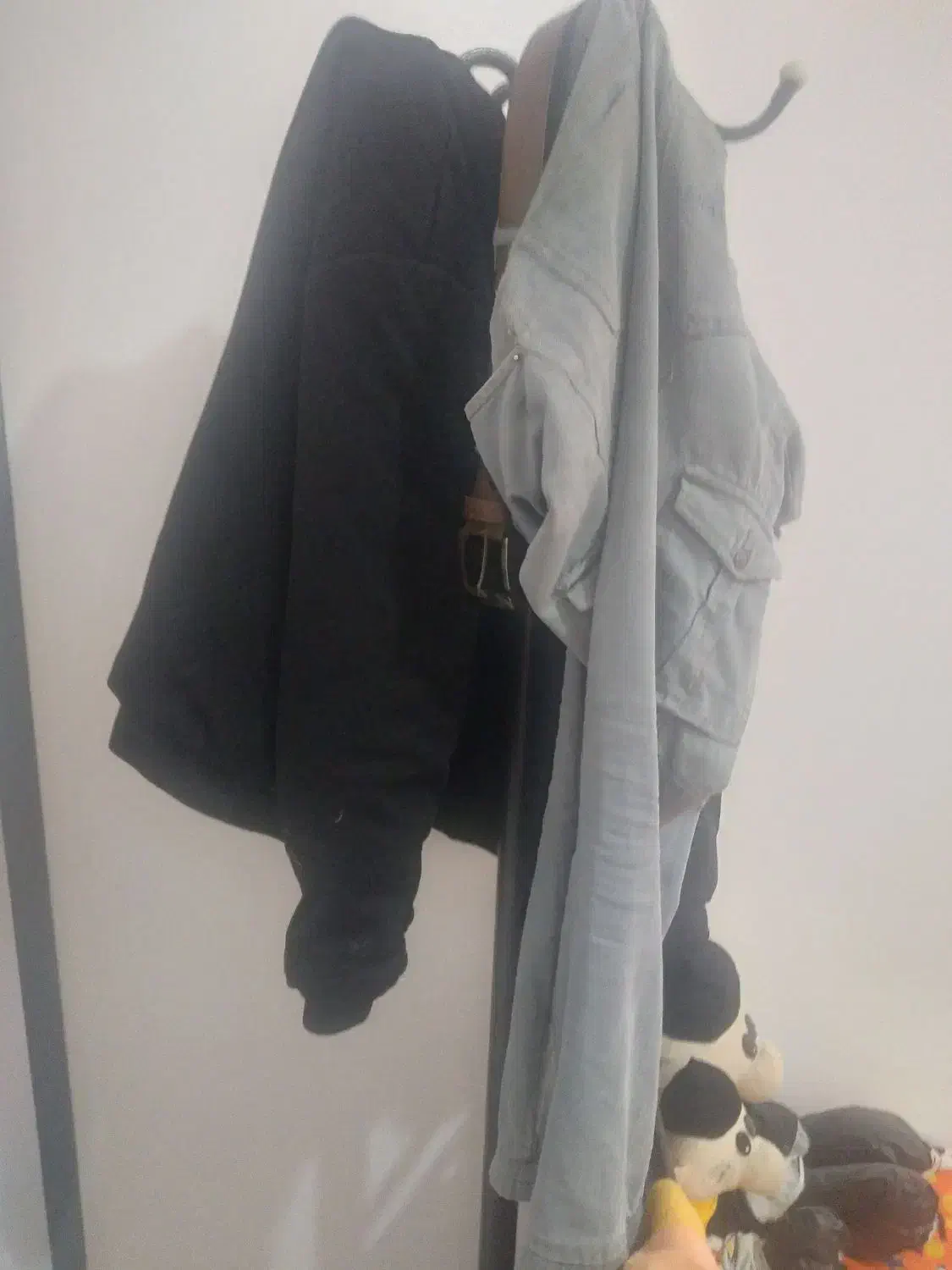 جالباسی سالم وتمیز|جاکفشی، کمد، دراور|تربت جام, شیخ احمد جامی|دیوار