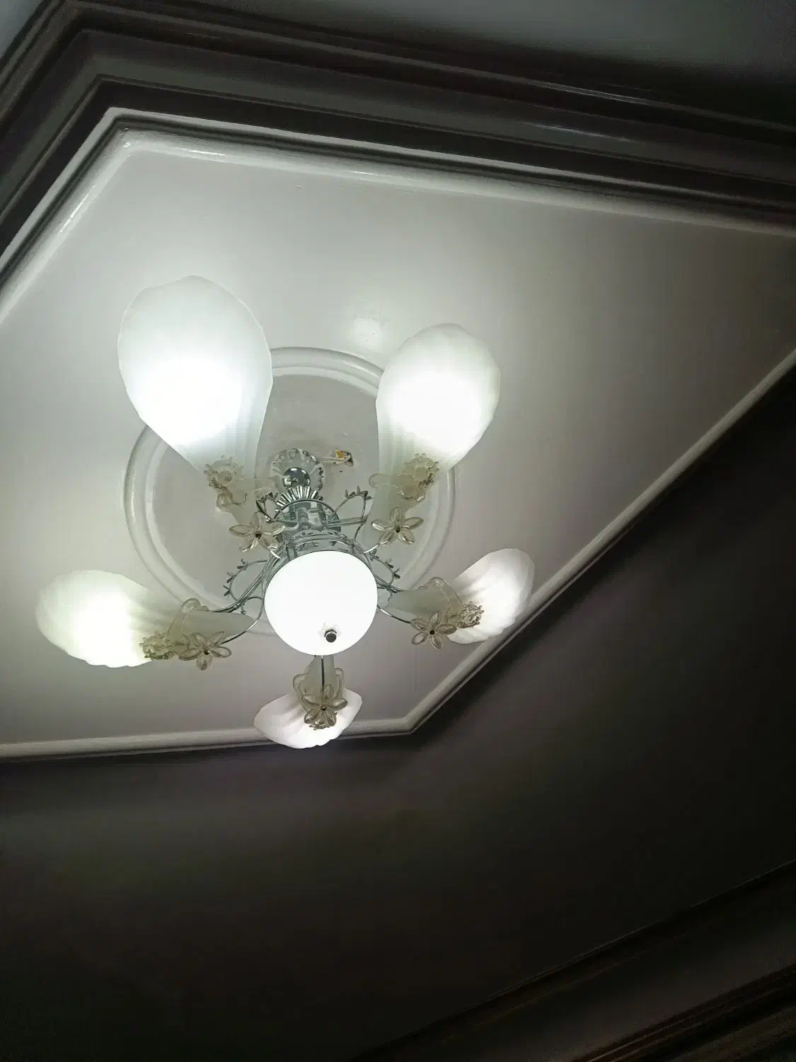 لوستر|لوستر و چراغ آویز|تربت‌حیدریه, پائین ولایت|دیوار