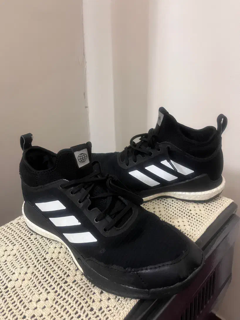 کفش اورجینال والیبال آدیداس کریزی فلایت|کیف، کفش، کمربند|اصفهان, پروین|دیوار