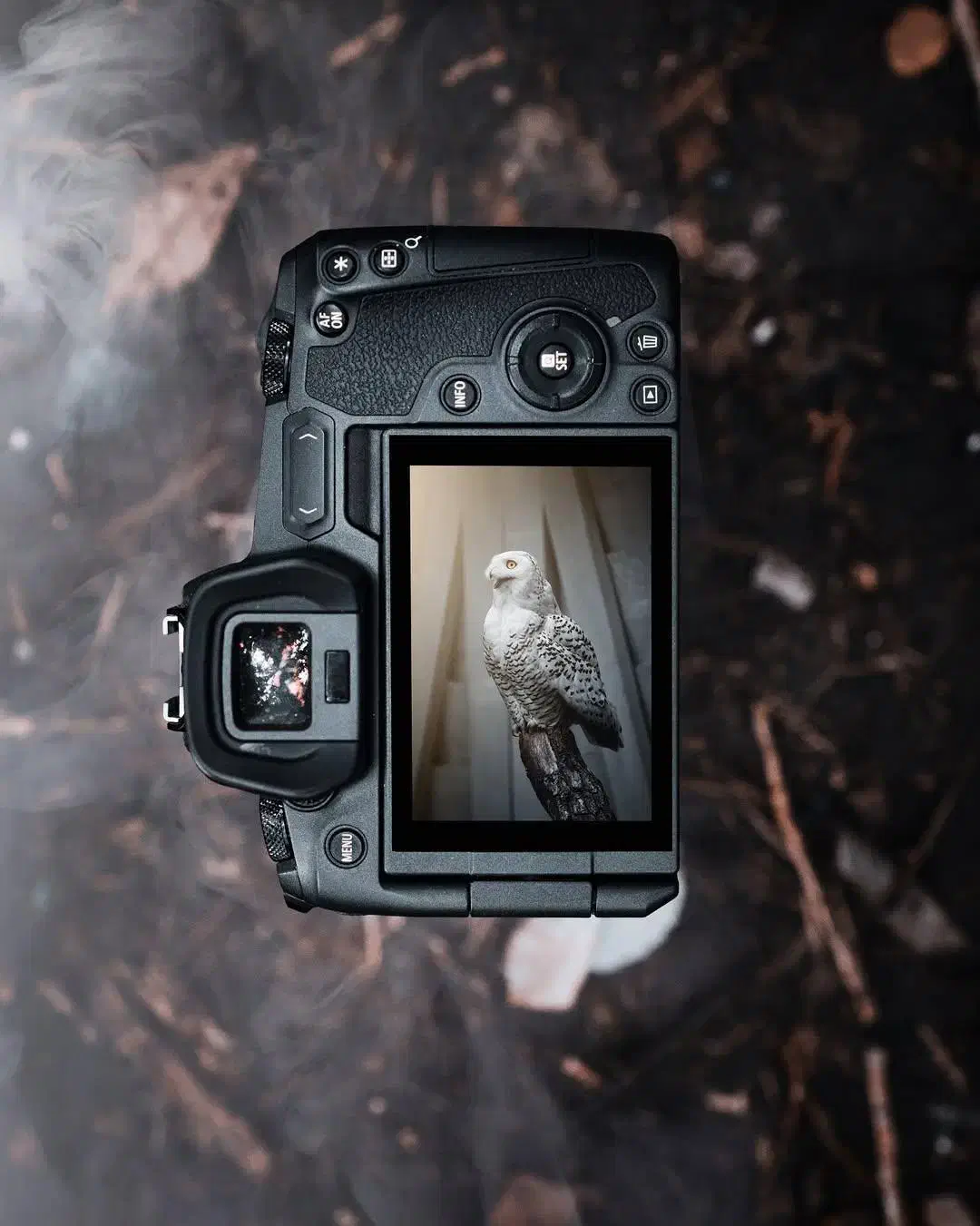 عکاس سیار آمل|خدمات پذیرایی، مراسم|آمل, |دیوار