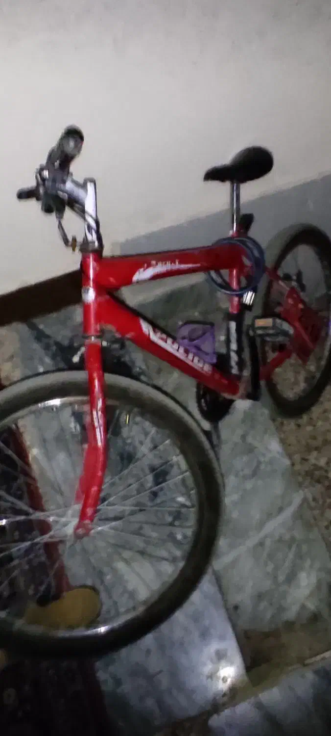 دوچرخه اومگا ۲۴|دوچرخه، اسکیت، اسکوتر|الشتر, |دیوار