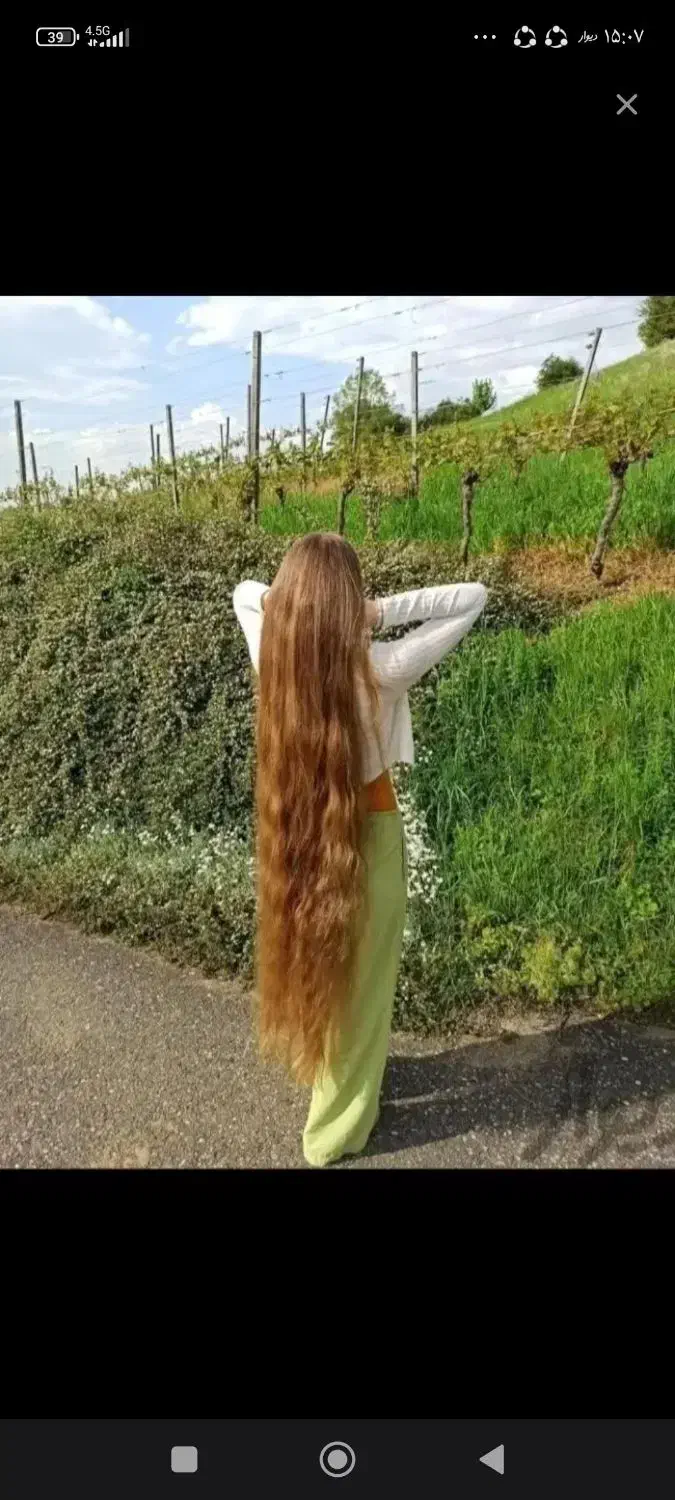 فروش مو (خریدار مو های خام و رنگی )|خدمات آرایشگری و زیبایی|یاسوج, |دیوار