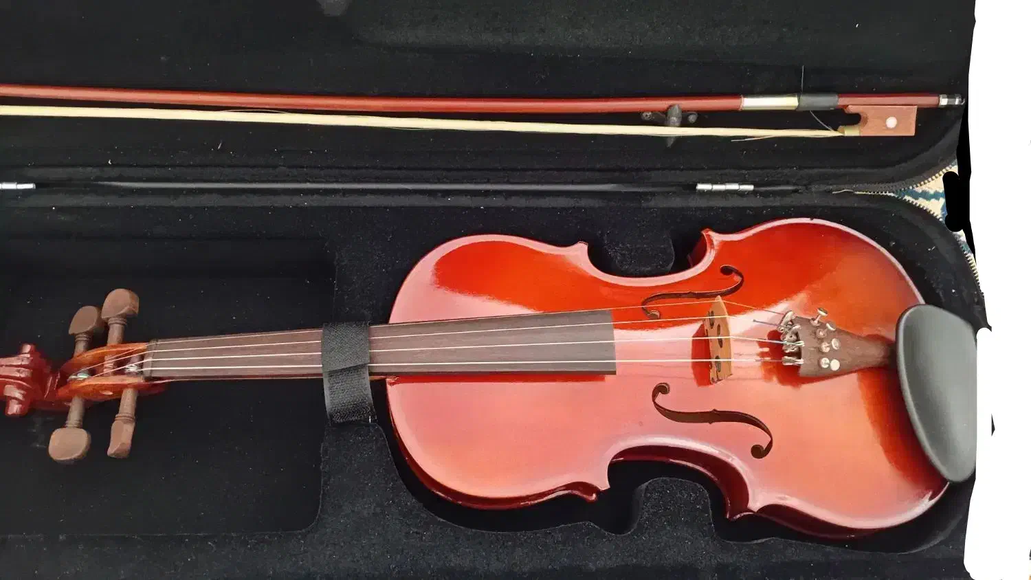 ویلن نو|ویولن|بجنورد, |دیوار