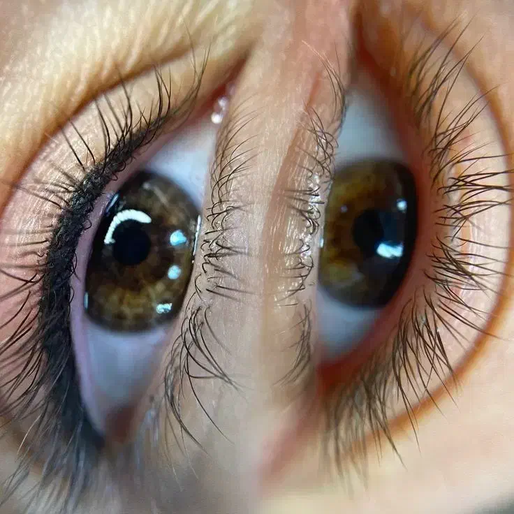 جشنواره تخفیفاتی آرایش دائم|خدمات آرایشگری و زیبایی|نیشابور, دارایی|دیوار