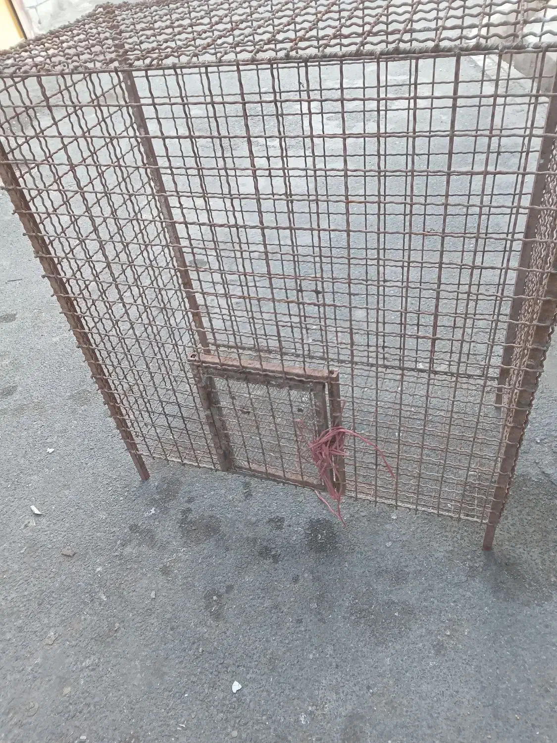 قفس پرنده توری ضخیم|لوازم جانبی حیوانات|شوط, |دیوار