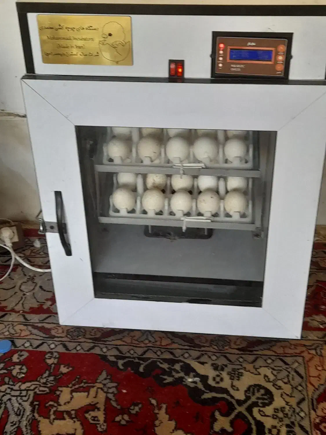 دستگاه جوجه کشی|لوازم جانبی حیوانات|مشهد, همت آباد|دیوار