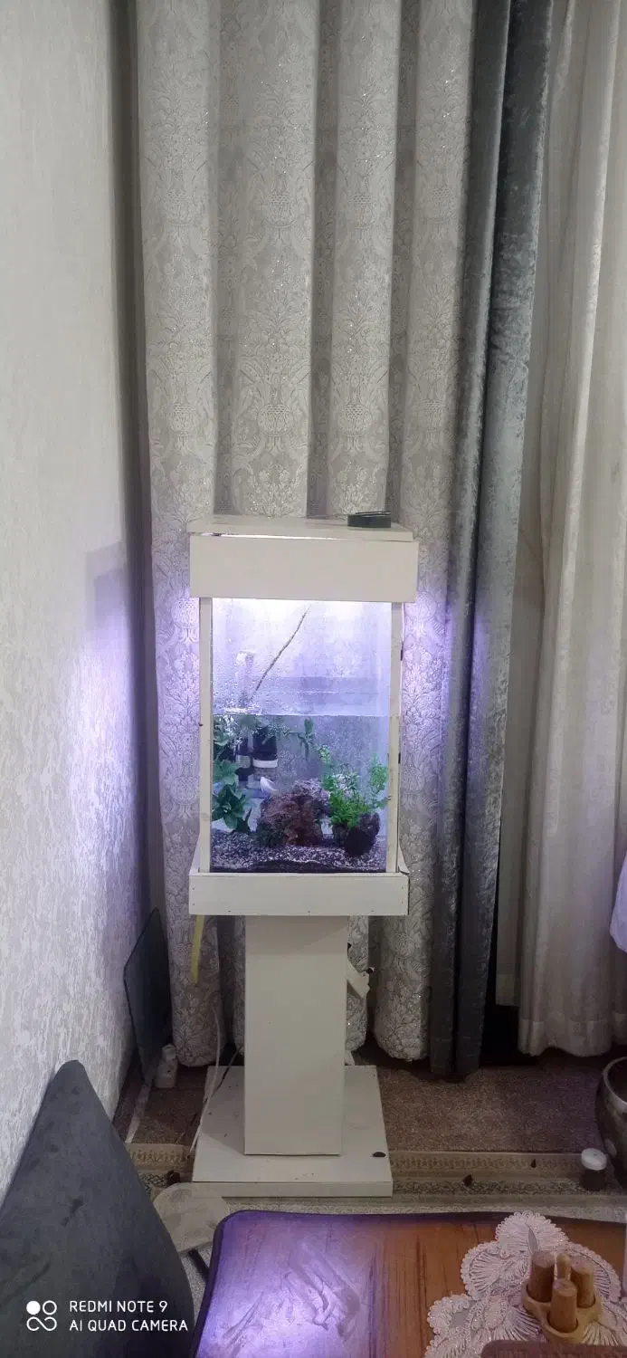 آکواریوم کامل با وسایل 2تومن|ماهی|قرچک, زیبا شهر|دیوار