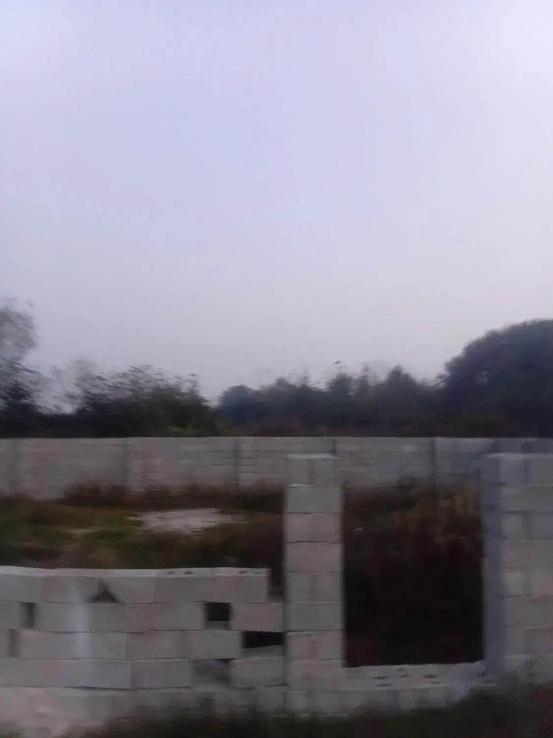 زمین باغی داخل فاز بهداشت شهری دور محصور|فروش زمین و ملک کلنگی|رضوانشهر, |دیوار