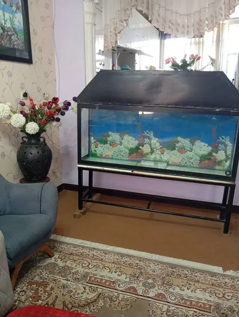 آکواریوم|ماهی|دوگنبدان, |دیوار