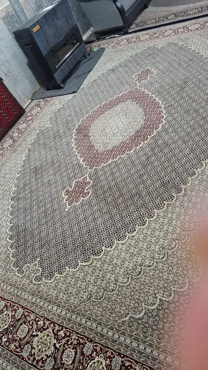 یک تخته فرش ۱۲ متری|فرش|تربت جام, زیباکنار|دیوار