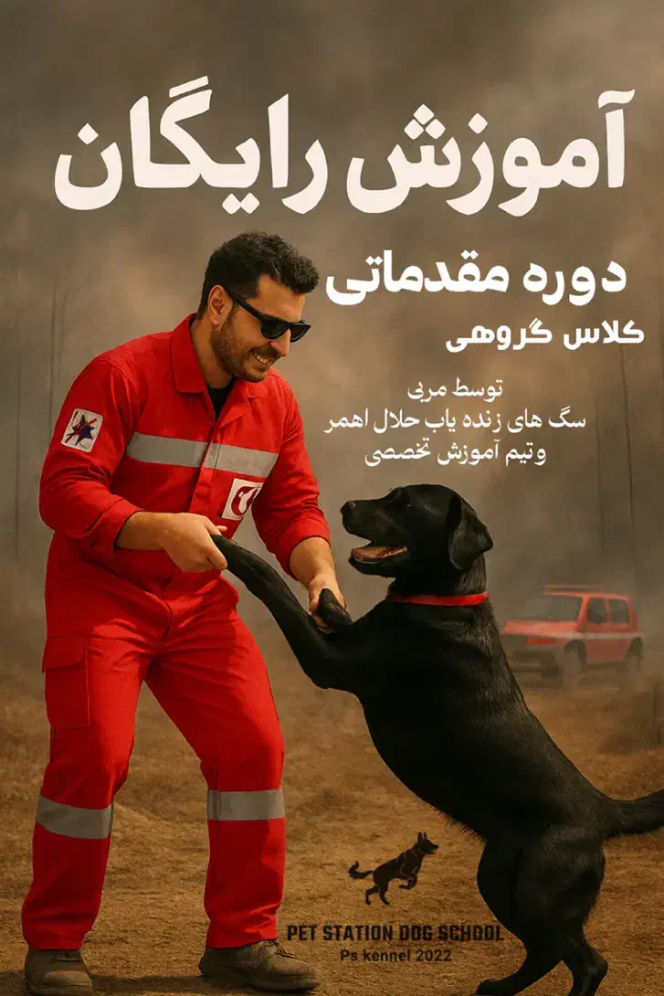 آموزش سگ رایگان به صورت گروهی|خدمات آموزشی|کرج, جهان‌شهر|دیوار