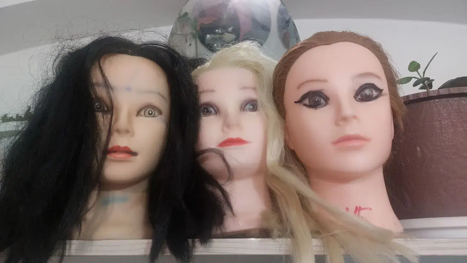 کله مانکن|آرایشگاه و سالن‌های زیبایی|اردبیل, |دیوار