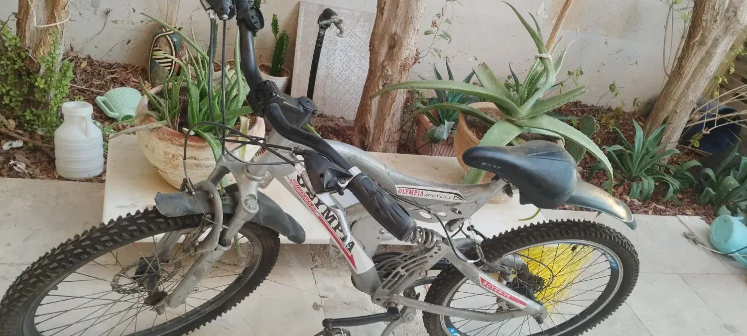 دوچرخه  سایز 20/24|دوچرخه، اسکیت، اسکوتر|کیش, |دیوار