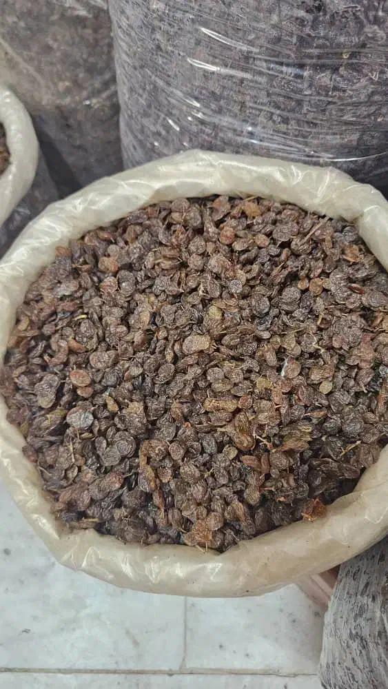 پخش کشمش مرکزی مهرشهر اق تپه|خوردنی و آشامیدنی|کرج, احدآباد|دیوار