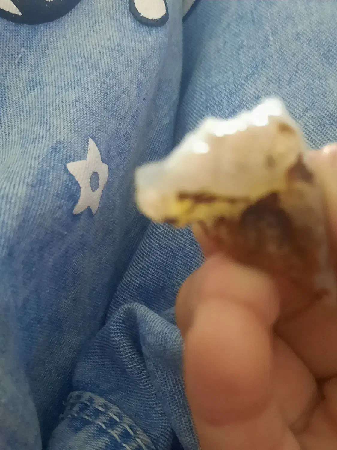 یک سنگ قیمتی که در رود های دور افتاده است|کلکسیون و سرگرمی|بندر دیر, |دیوار