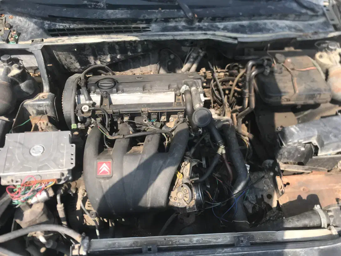 زانتیا مدل82 مشکی|خودرو سواری و وانت|بندرعباس, |دیوار