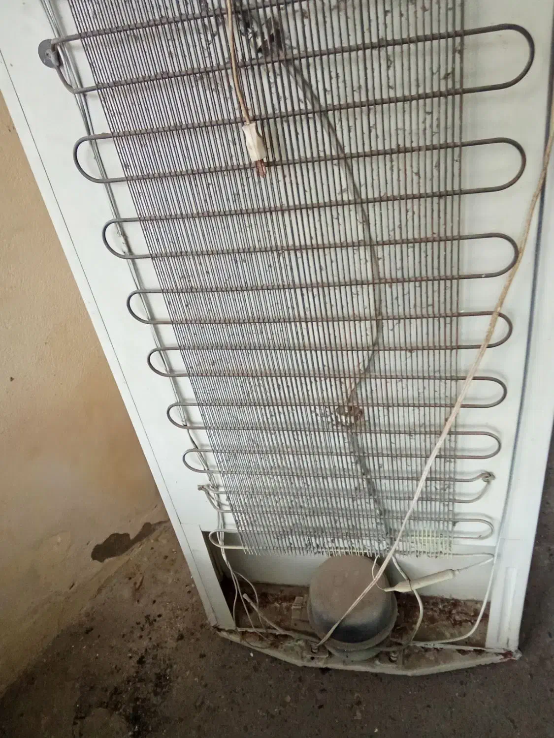 یخچال 10 فوت جنرال استیل|یخچال و فریزر|تالش, هشتپر|دیوار