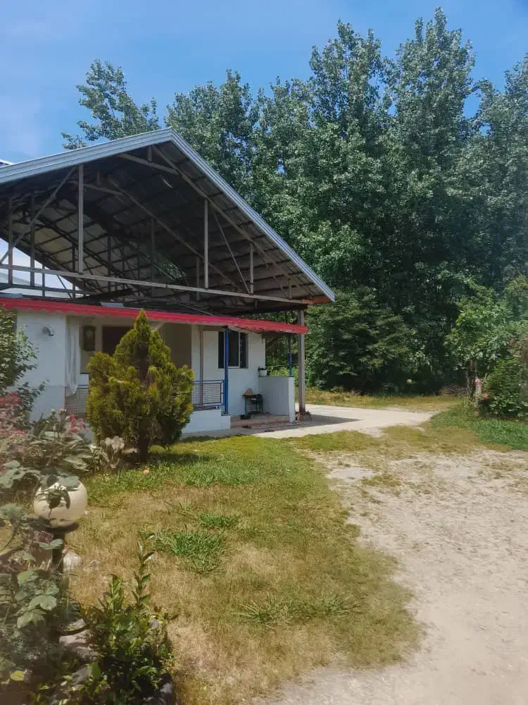 فروش خونه|فروش خانه و ویلا|تولم شهر, |دیوار