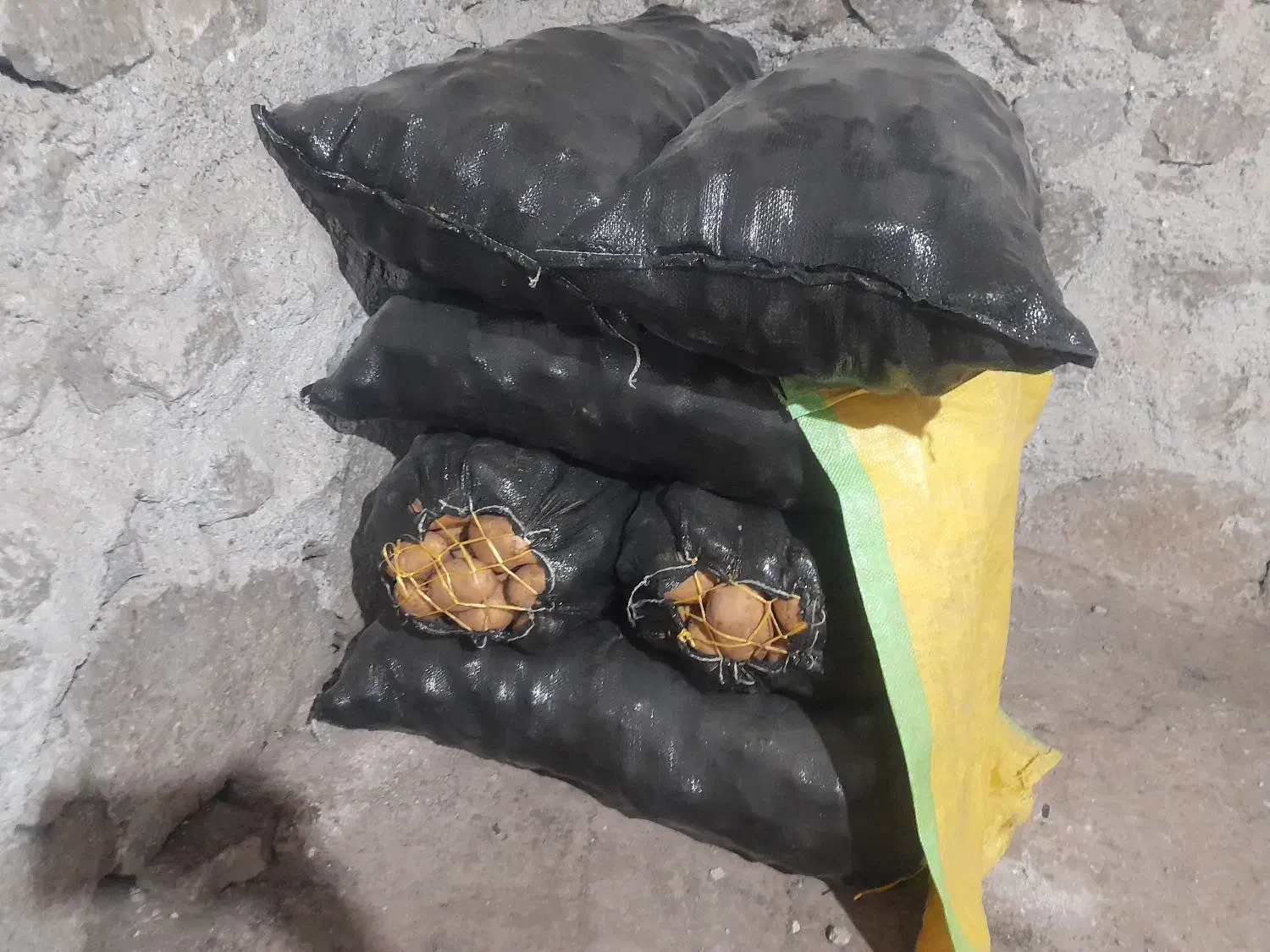 سیب زمینی صنعتی آگریا|خوردنی و آشامیدنی|ویلکیج, |دیوار